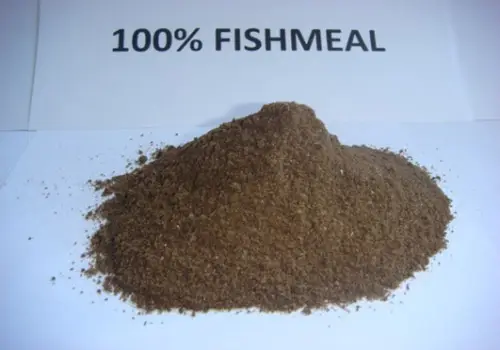 Sigma%20Marine%20Products,%20Ltd