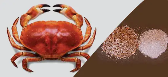 crab meal