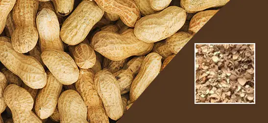 peanut meal